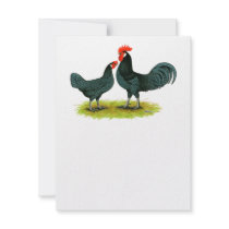 Andalusian Chickens Custom Invitation