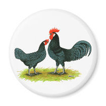 Andalusian Chickens Magnet