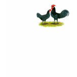Andalusian Chickens T-shirts