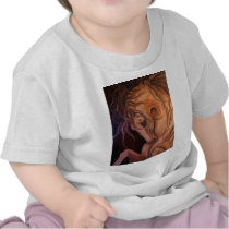 Andalusian Glory Tshirts