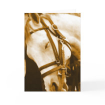 Andalusian Greeting Card