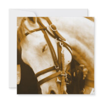 Andalusian Horse Invitation