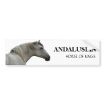 ANDALUSIAN HORSE OF KINGS BUMPER STICKER