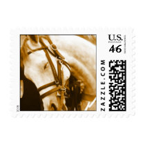 Andalusian Horse Postage Stamp