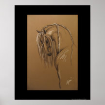 Andalusian Horse Sketch Print