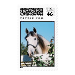 Andalusian Horse Stamp