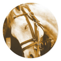 Andalusian Horse Stickers