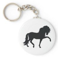 Andalusian Key Chain