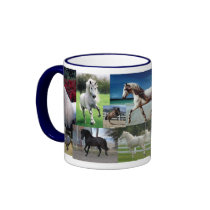 andalusian mug