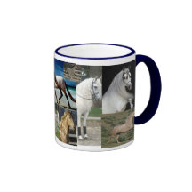 andalusian mug