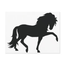 Andalusian Post Card