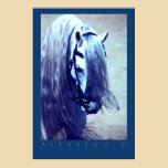 Andalusian Poster posters