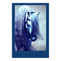 Andalusian Poster posters