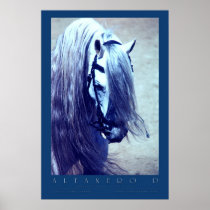 Andalusian Poster