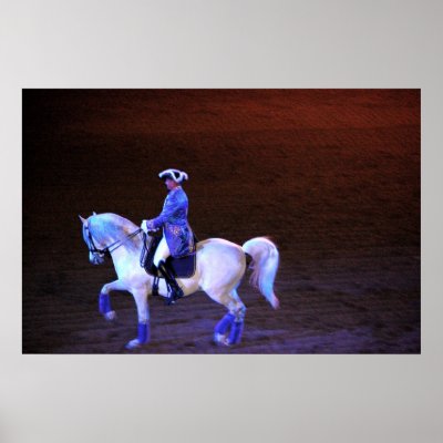Andalusian Poster by almedic104