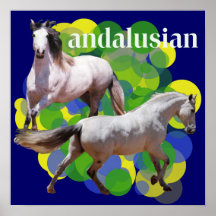 ANDALUSIAN Poster