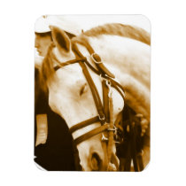 Andalusian Premium Magnet