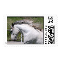 Andalusian Running close-up Stamp