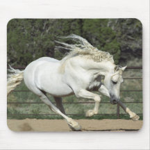 Andalusian Stallion running, PR Mouse Pads