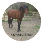 Andalusian stallion round sticker