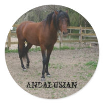 Andalusian stickers