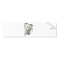 Andalusian True Romantic Horse Bumper Sticker