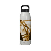 Andalusian  Water Bottle