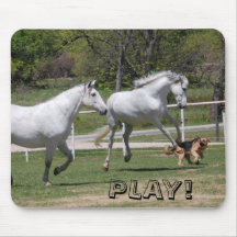 ANDALUSIANS & GERMAN SHEPHERD AT PLAY MOUSEPAD
