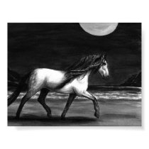 Andalusion Midnight posters