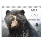 bubu, andean bear foundation, spectacled bear, andean bear