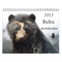Andean Bear Foundation Calendar 2013