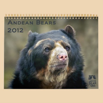 Andean Bears 2012 - 15 month calendar by Andean_Bear_Bubu