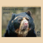 Andean Bears II -15 month calendar 1/2012 - 3/2013