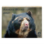 andean bear foundation