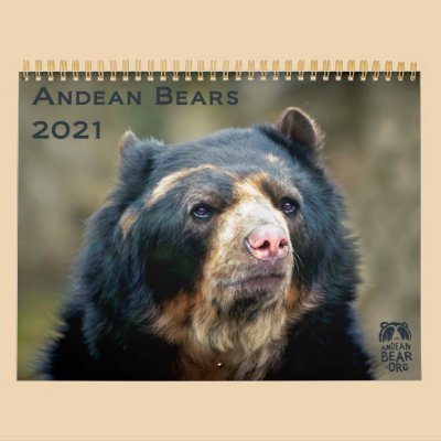 Andean Bears II -15 month calendar 1/2012 - 3/2013 by Andean_Bear_Bubu
