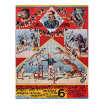 Anderton and Haslam's Menagerie, 1800's posters