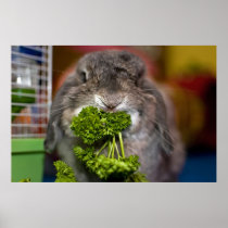Andora + parsley (print)