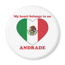 Andrade magnets