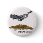 Andrea the Andea Condor Pins