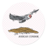 Andrea the Andea Condor Stickers