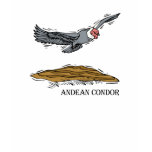 Andrea the Andea Condor Tshirt