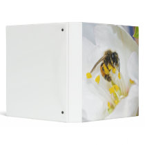 Andrena Margandrena Krausiella Gusenleitner Bee Vinyl Binders