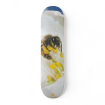 Andrena Margandrena Krausiella Gusenleitner Bee Custom Skateboard