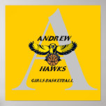 andrewhawks2 copy reg posters