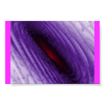 Andromeda posters by Sky_Blue_Hope Andromeda posters