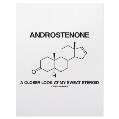 Androstenone A Closer Look At My Sweat Steroid Custom Letterhead by wordsunwords