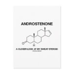 Androstenone A Closer Look At My Sweat Steroid Post Cards