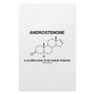 Androstenone A Closer Look At My Sweat Steroid Stationery Paper by wordsunwords
