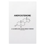 Androstenone A Closer Look At My Sweat Steroid stationery