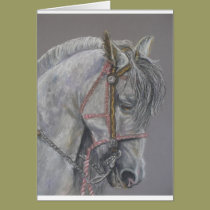 Andualusian Horse Card